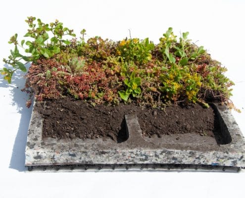 Place 'n Go Sedumtray-2