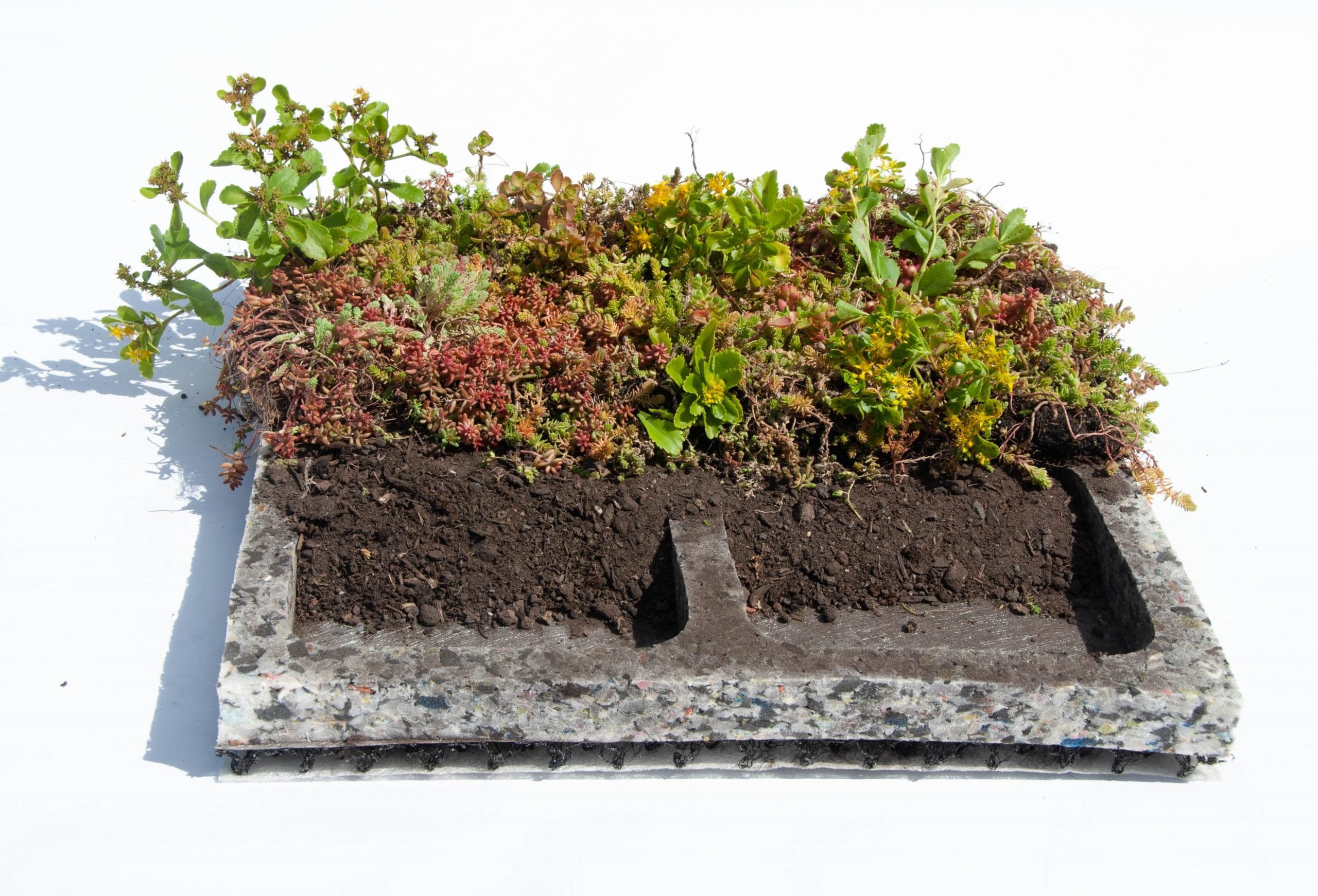 Place 'n Go Sedumtray-2