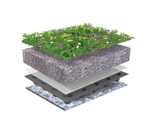 Systeemopbouw Biodiversdak