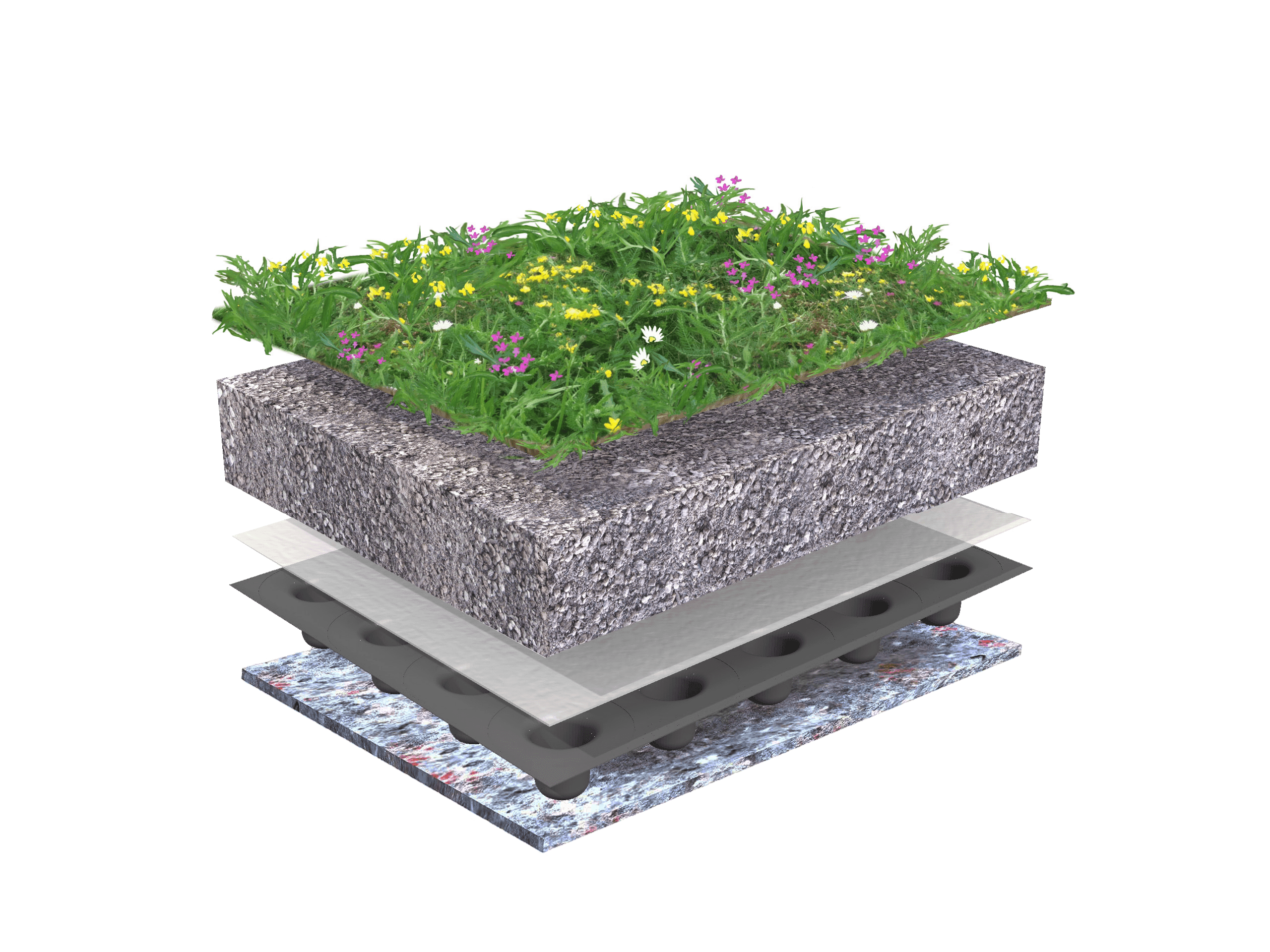 Systeemopbouw Biodiversdak