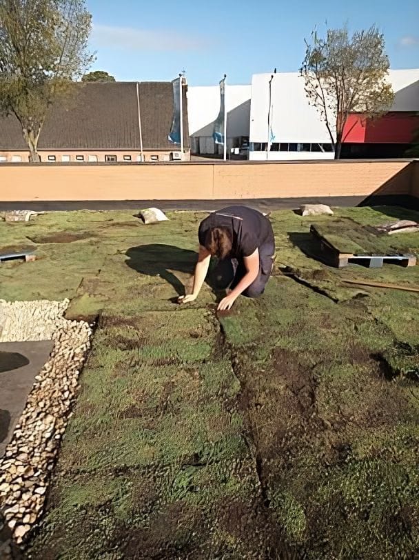 aanleggen-groen-dak-transformed